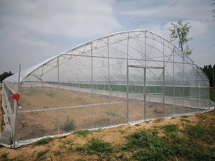 Steel Structure Agricultural Greenhouse Construction